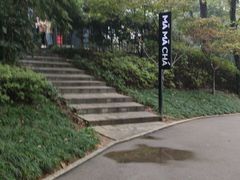 -MAMACHA妈妈茶(岳麓山店)