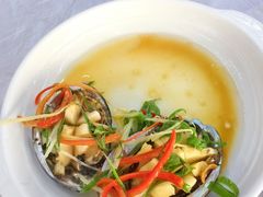 清蒸鲜活鲍鱼-众味海鲜大排档·活海鲜·潮汕味(南澳店)