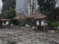 -地中海传奇水汇