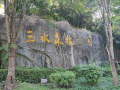 -三水森林公园