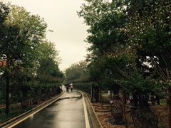 -武汉紫薇都市田园