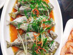 黄豆酱蒸小海鱼-刘记糟粕醋海鲜烧烤