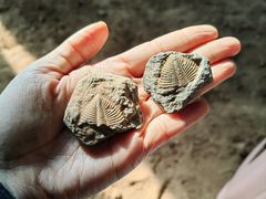 -房山世界地质公园博物馆