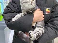 -唐小姐の猫狗洗护·购宠旗舰店(周浦万达店)