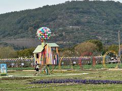 -苏州太湖西山岛开心农场