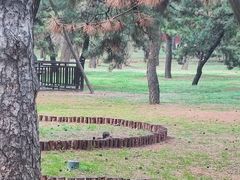 -沈阳市东陵公园