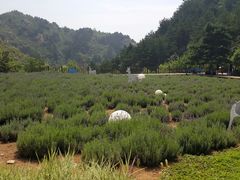 -云峰山自然风景区