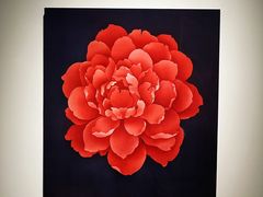 -上海宝龙美术馆