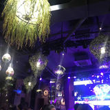 上海的胡桃里更都市化一点,镇江的这个没什么感觉是真的