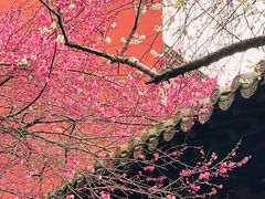 -钱王祠