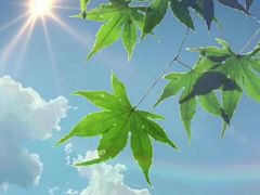 -肖肖酸萝卜鱼火锅(总店)