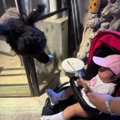 -酷嗒动物文化乐园(cutezoo西溪乐天城店)