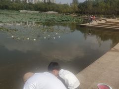 -新江湾城公园
