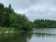-东平国家森林公园