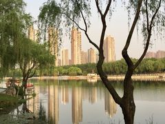 -后襄河公园