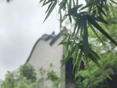 -龙潭水乡