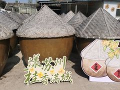 -苏州市吴中区光福窑上花果蜜饯厂