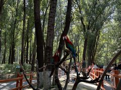 -北京野生动物园