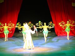 -珠海横琴长隆《卡卡虎奇遇记》