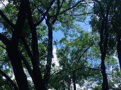 -青龙山国家森林公园