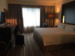 -新加坡安国酒店