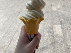 -长洲岛