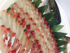 -深蓝金枪·深海鱼刺身(香洲店)
