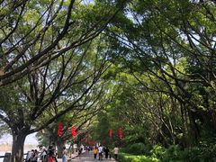 -大湾区中央湿地公园