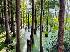 -云龙湖旅游景区