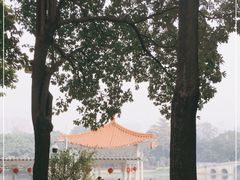 -荔湾湖公园