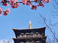 -大伊山景区