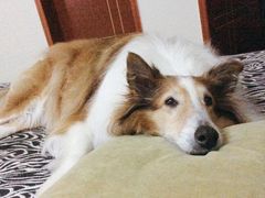 -万达影城(锦华万达广场IMAX店)