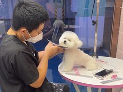 -FAELING PETS美天灵宠物(富力广场店)