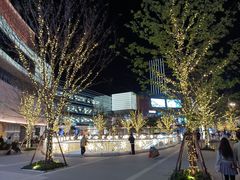 -中集金地美兰城