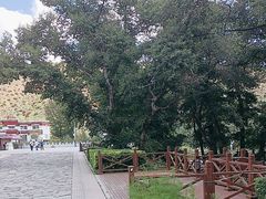 -五当召景区