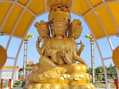 -龙口南山旅游景区