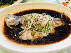 清蒸鲈鱼-一品滇香·云南菜(公益西桥店)