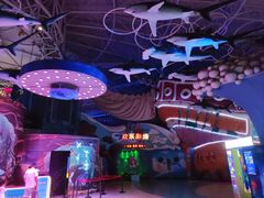 -烟台海昌鲸鲨海洋公园