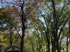 -狼山风景名胜区