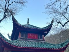 -梅溪湖城市岛