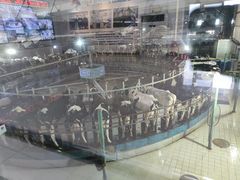 -君乐宝优致牧场