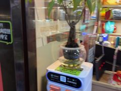 -202特色排档(五缘湾店)