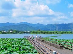 -长田漾湿地公园