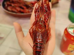 -霸王虾·麻辣小龙虾(清水河公园店)