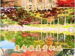 -秋霞圃