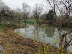 -西溪国家湿地公园