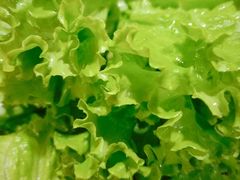 -九寸花汀海鲜烤肉自助(中东迪克店)
