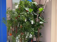 -天真蓝照相馆(杭州滨江宝龙店)