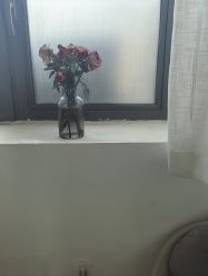 -安那般那皮肤年轻化ANAPANA