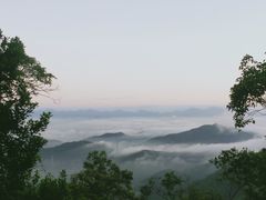 -梧桐山风景名胜区